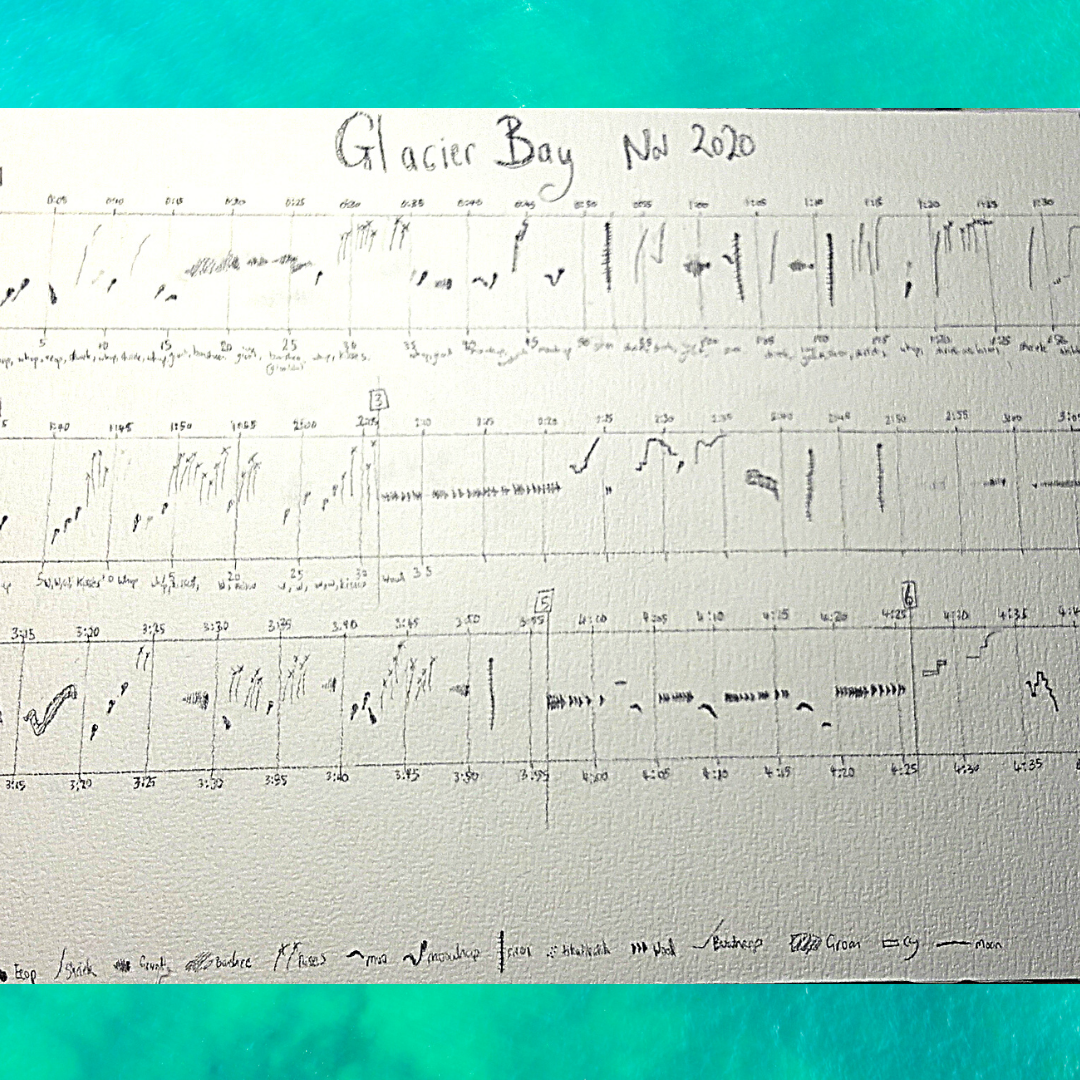 Glacier Bay Nov 2020 graphic score